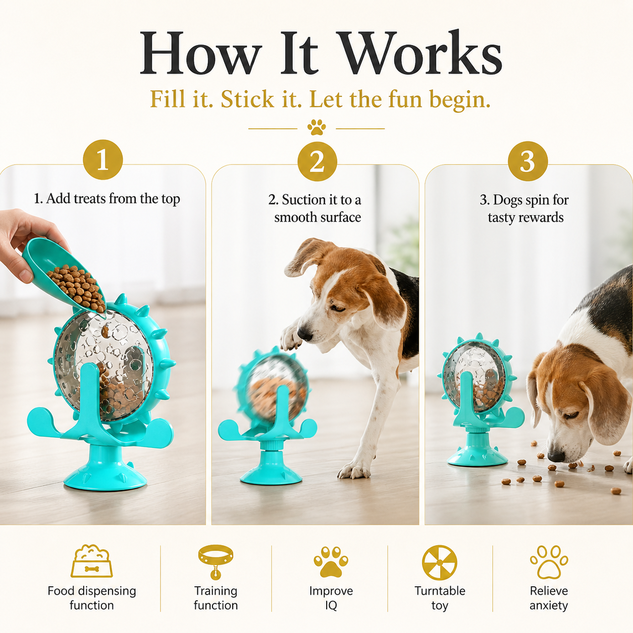 Spin & Eat Wheel